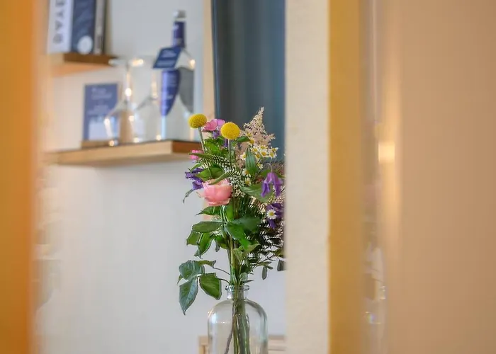 加米斯切霍夫环保酒店 4*